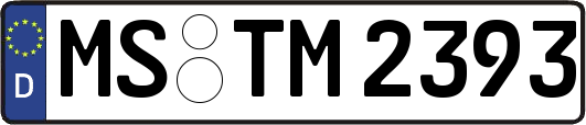 MS-TM2393