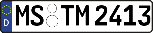 MS-TM2413
