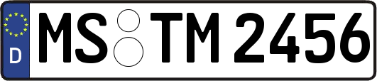 MS-TM2456