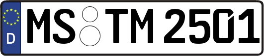 MS-TM2501