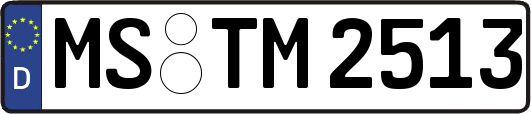 MS-TM2513