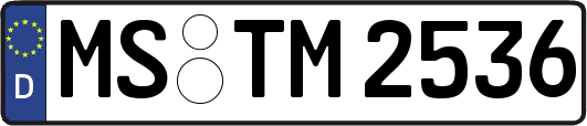 MS-TM2536