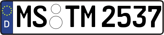 MS-TM2537