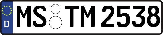MS-TM2538