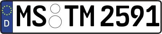 MS-TM2591