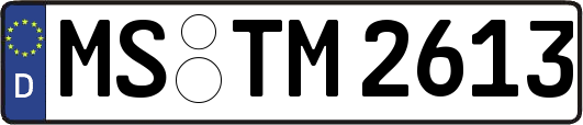 MS-TM2613