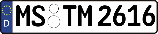 MS-TM2616