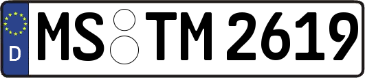 MS-TM2619