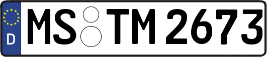 MS-TM2673