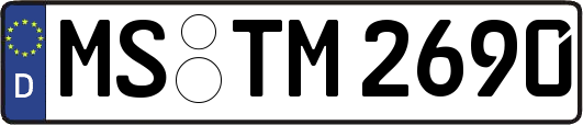 MS-TM2690