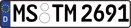 MS-TM2691