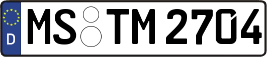 MS-TM2704