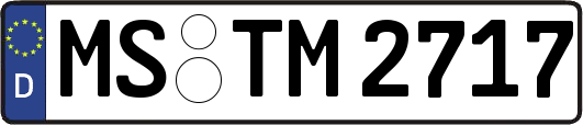 MS-TM2717