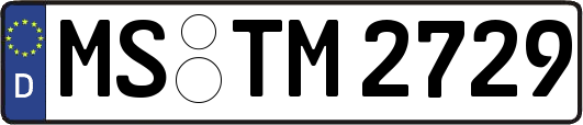 MS-TM2729