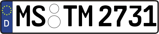 MS-TM2731