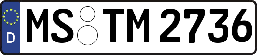 MS-TM2736
