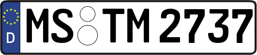 MS-TM2737
