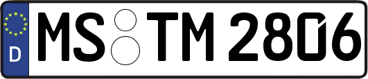 MS-TM2806