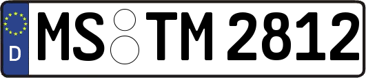 MS-TM2812
