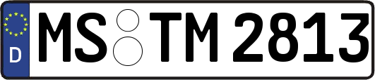 MS-TM2813