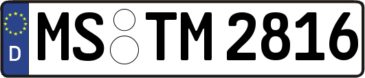 MS-TM2816