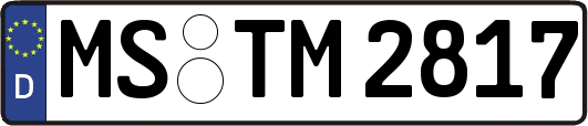 MS-TM2817