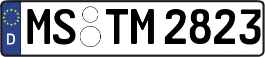 MS-TM2823