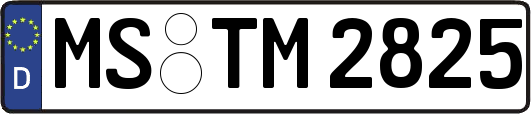 MS-TM2825