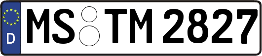 MS-TM2827