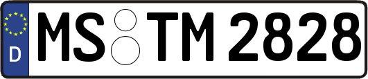 MS-TM2828