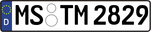 MS-TM2829