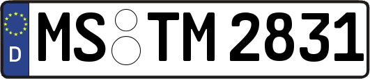 MS-TM2831