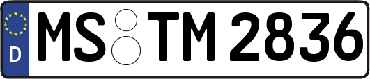 MS-TM2836