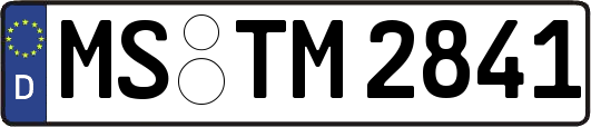 MS-TM2841