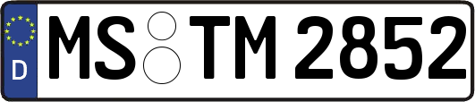 MS-TM2852