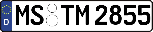 MS-TM2855
