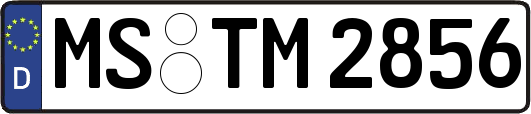 MS-TM2856