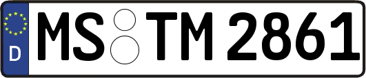 MS-TM2861