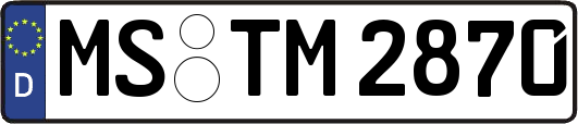 MS-TM2870