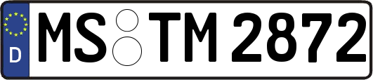 MS-TM2872