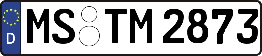 MS-TM2873