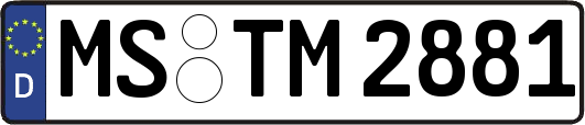 MS-TM2881