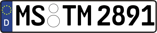 MS-TM2891