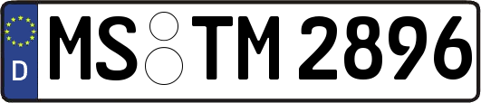 MS-TM2896