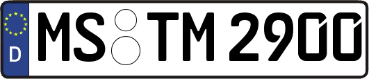 MS-TM2900