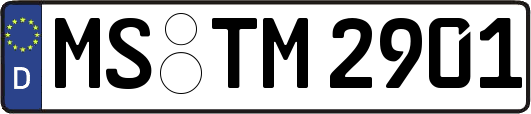 MS-TM2901
