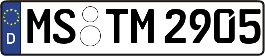 MS-TM2905