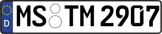 MS-TM2907