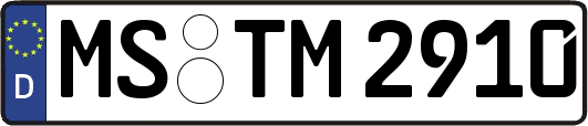 MS-TM2910