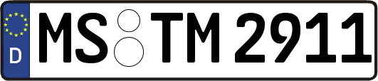 MS-TM2911